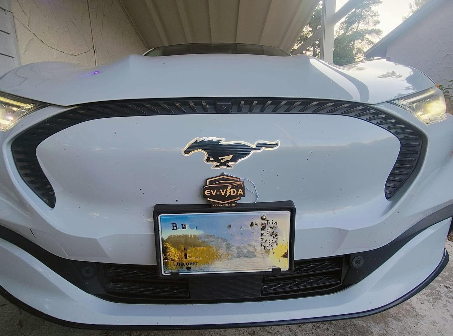 Mustang Mach E Front Lit Pony (Plug-n-play) LED Emblem V3