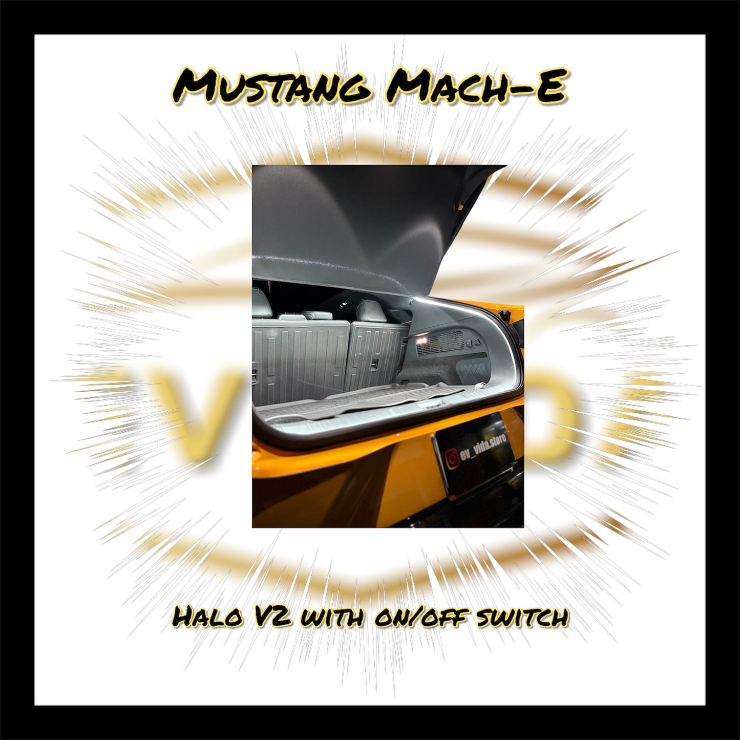 Hyundai Ioniq 5/ Kia EV6/ Mustang Mach E/ Genesis EV60 Halo LEDs V2