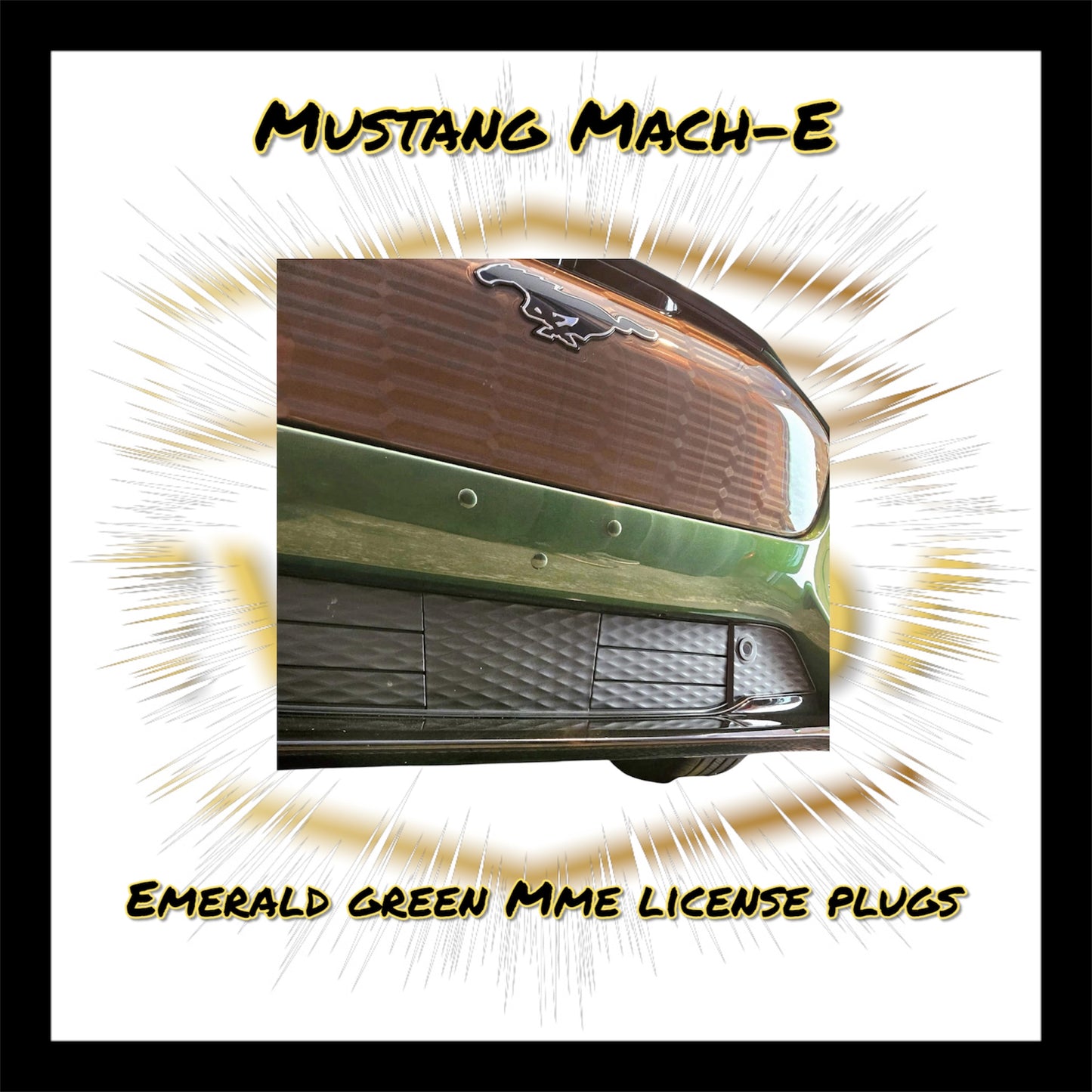 Bumper License Plate Plugs (MME)