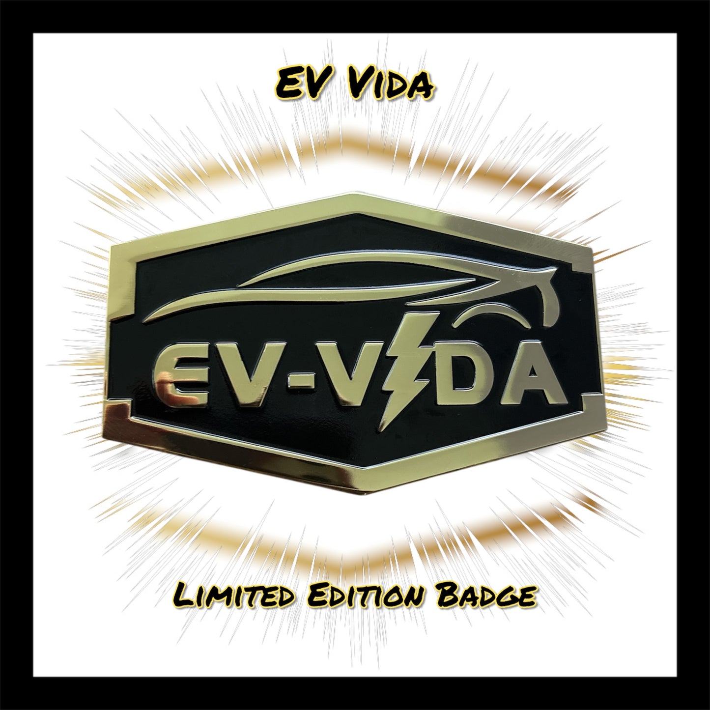 Official EV Vida Badge