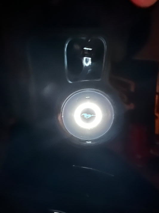 The Ring designed for Mustang Mach E Door