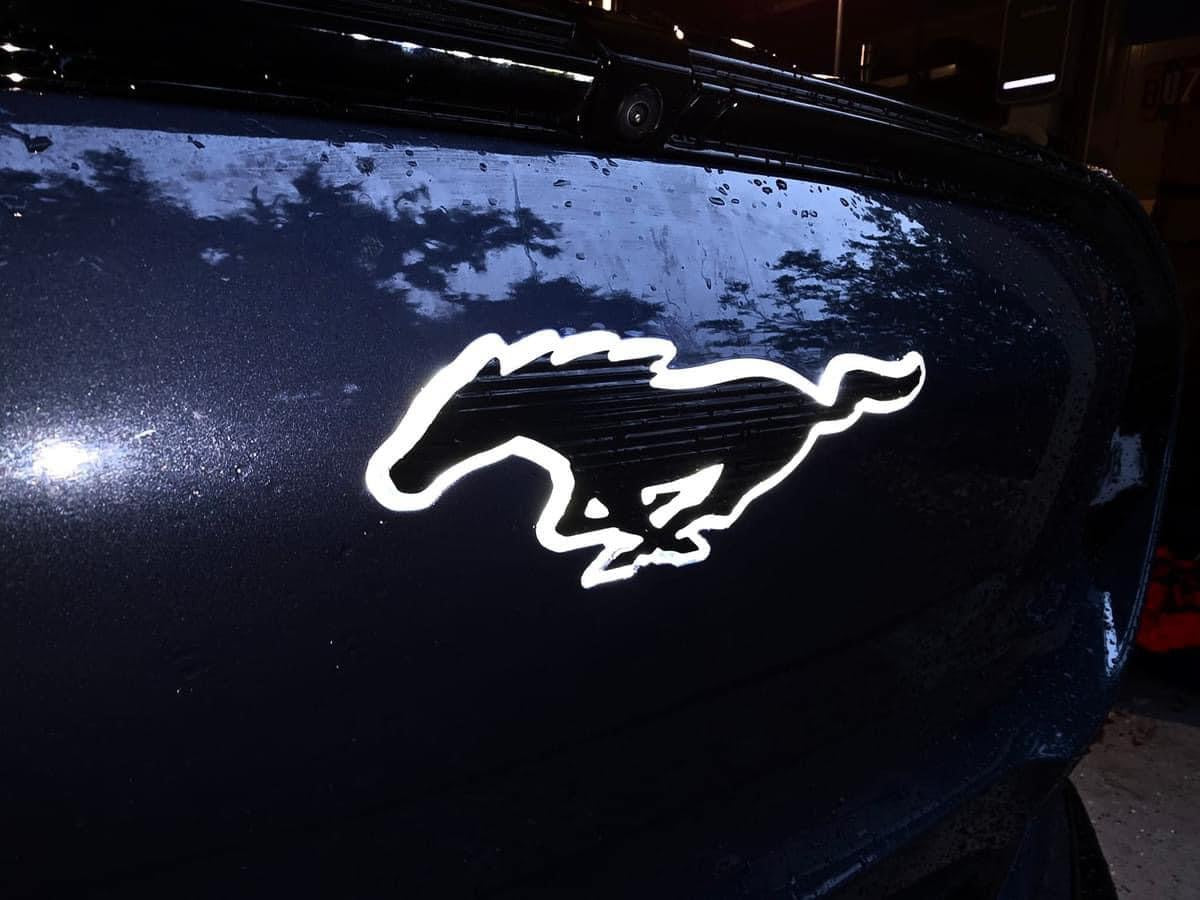 Mustang Mach E Front Lit Pony (Plug-n-play) LED Emblem V2